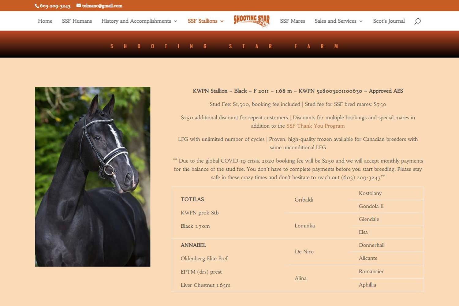 Link to Gaudi KWPN-NA Stallion Website