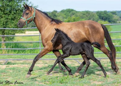 Photo of Unequaled Faith RSF (Le Formidable x Morricone x Freestyle)