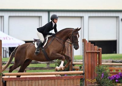 Photo of Orion RSF (Gaudi x Roemer)